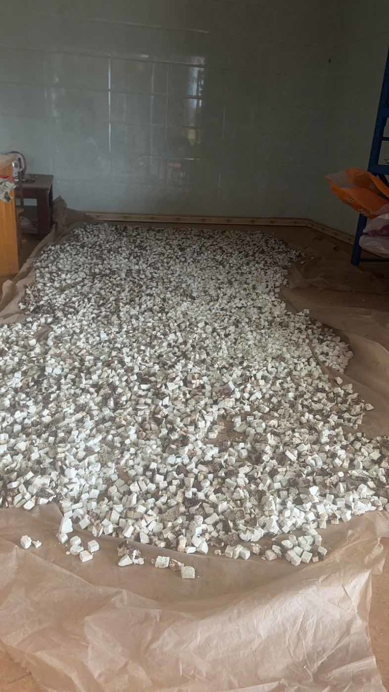 云南茯苓鲜活茯苓茯苓砣茯苓丁
