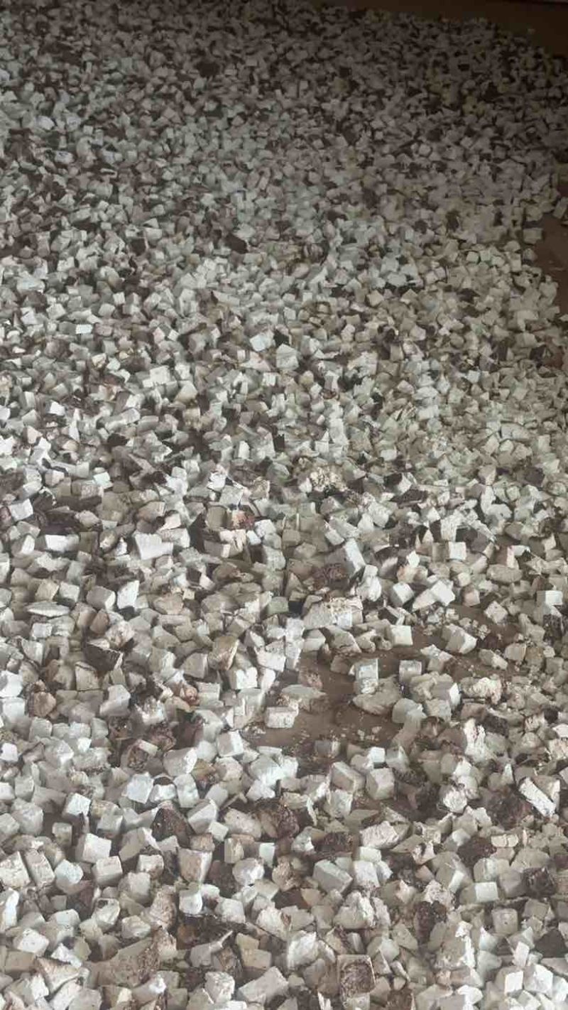 云南茯苓鲜活茯苓茯苓砣茯苓丁
