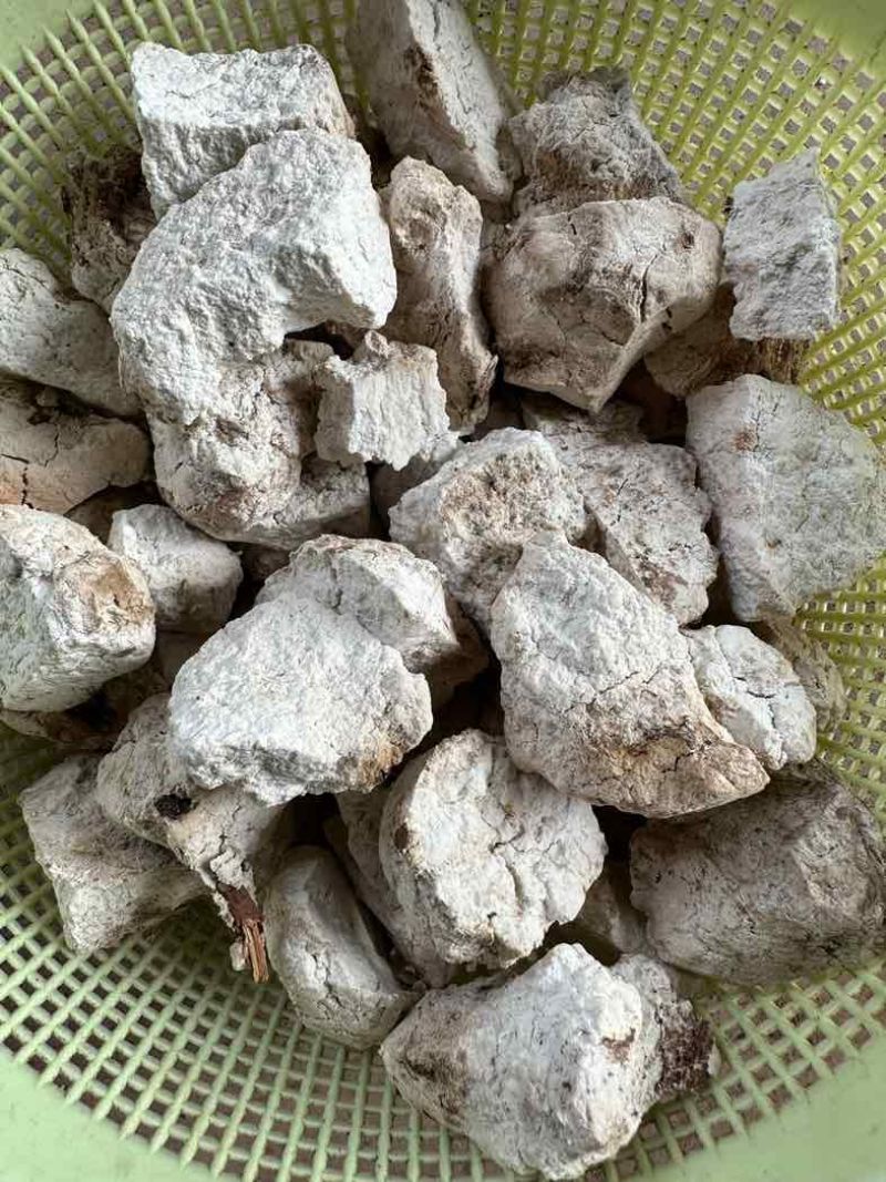 云南茯苓鲜活茯苓茯苓砣茯苓丁