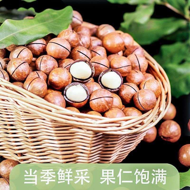 电商货夏威夷果电商代发