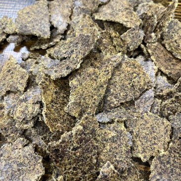 棉籽饼养殖