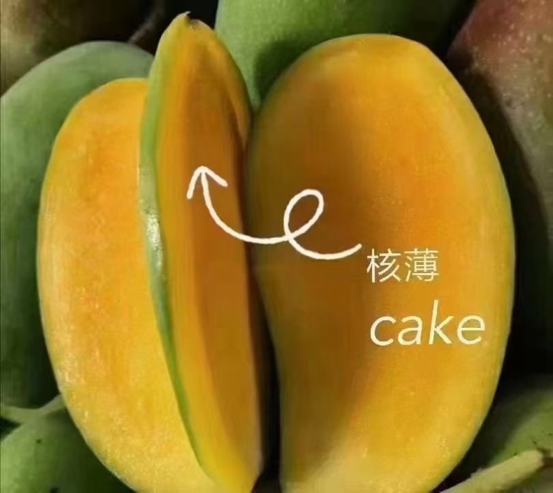 广西百色金煌芒金黄甜心芒百色芒果产地直发保质保量