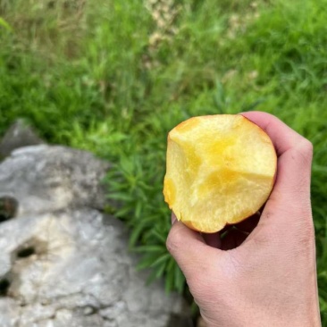 黄桃，艳红桃