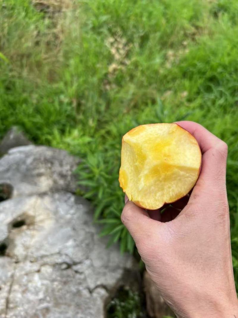 黄桃，艳红桃