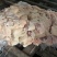 炼油鸭尾