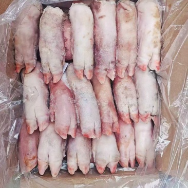 厂家二级猪蹄20-30个两吨