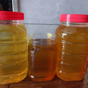 自家养的土蜂蜜