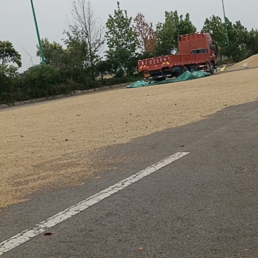 小麦