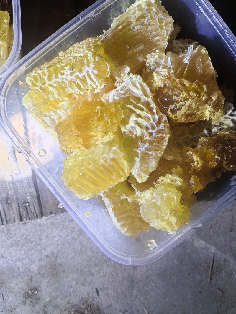 云南省土蜂蜜