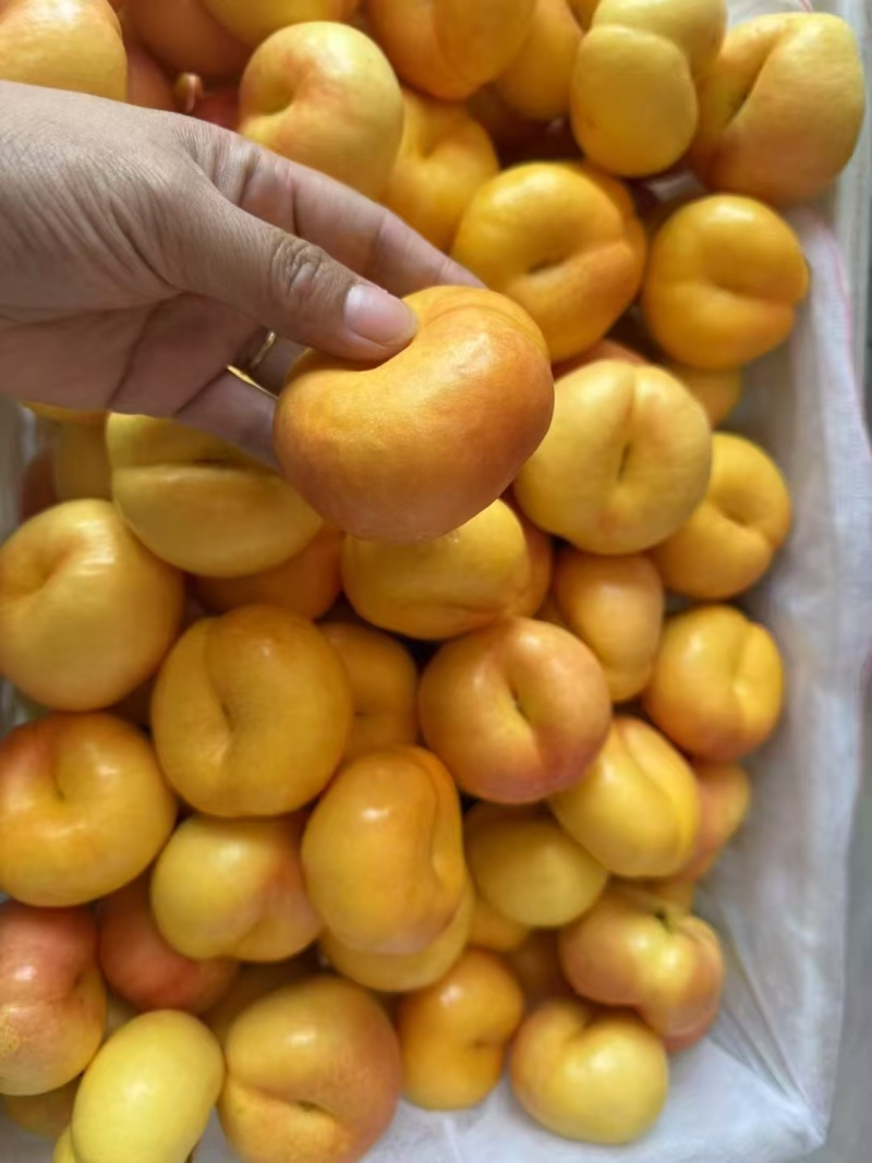 桃子季又来啦🍑吃桃的来吧，现摘现发的新鲜桃子！