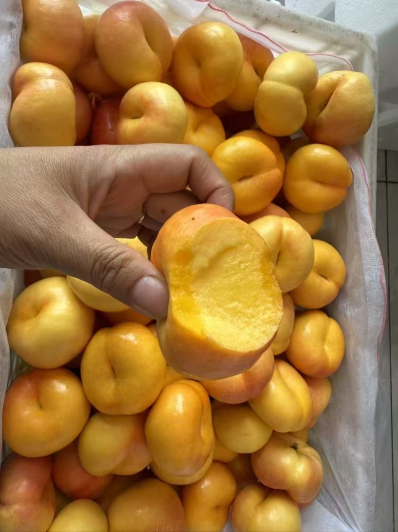 桃子季又来啦🍑吃桃的来吧，现摘现发的新鲜桃子！