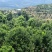 夏威夷果澳洲坚果种植基地云南西双版纳种植工厂一体化量大