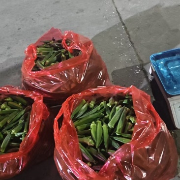自家种的蔬菜吃的放心，大小分等级，价格不一样，可以谈