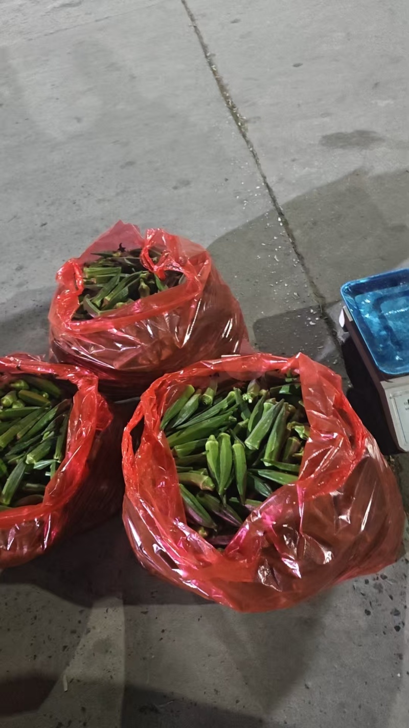 自家种的蔬菜吃的放心，大小分等级，价格不一样，可以谈