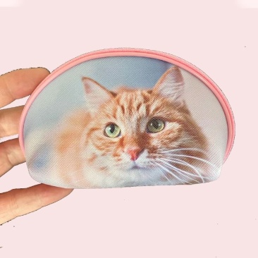 小猫