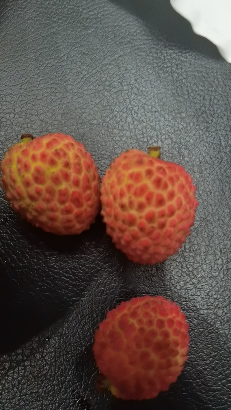 增城荔枝