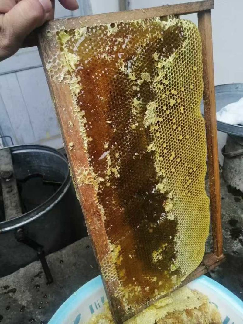 西岭雪山农户百花蜂蜜（天然，不参假，不喂糖）