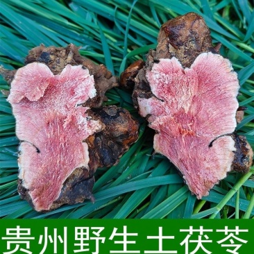 土茯苓正品全网低价长期有货