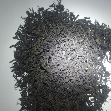 六堡茶