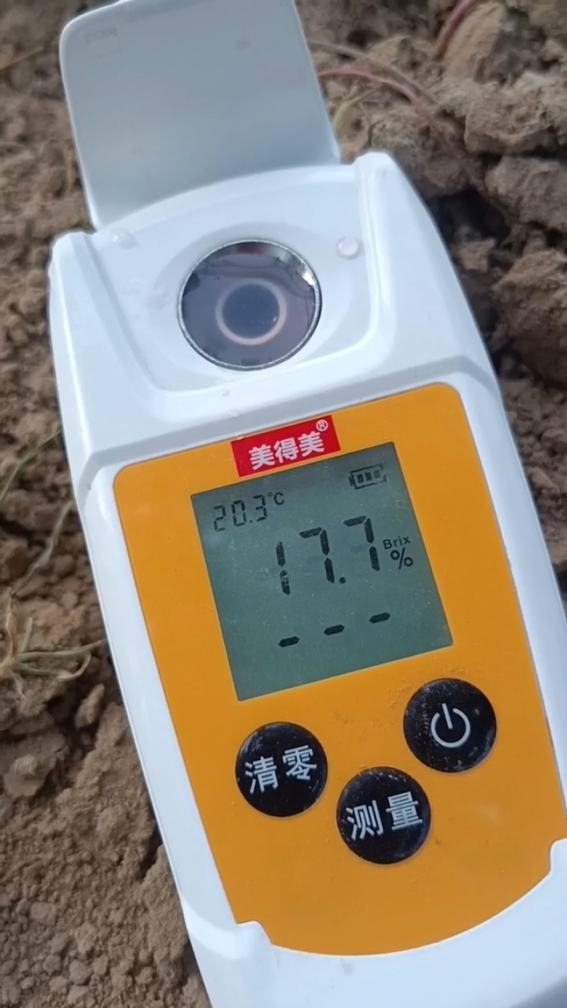 夏黑葡萄大量现货，精品果