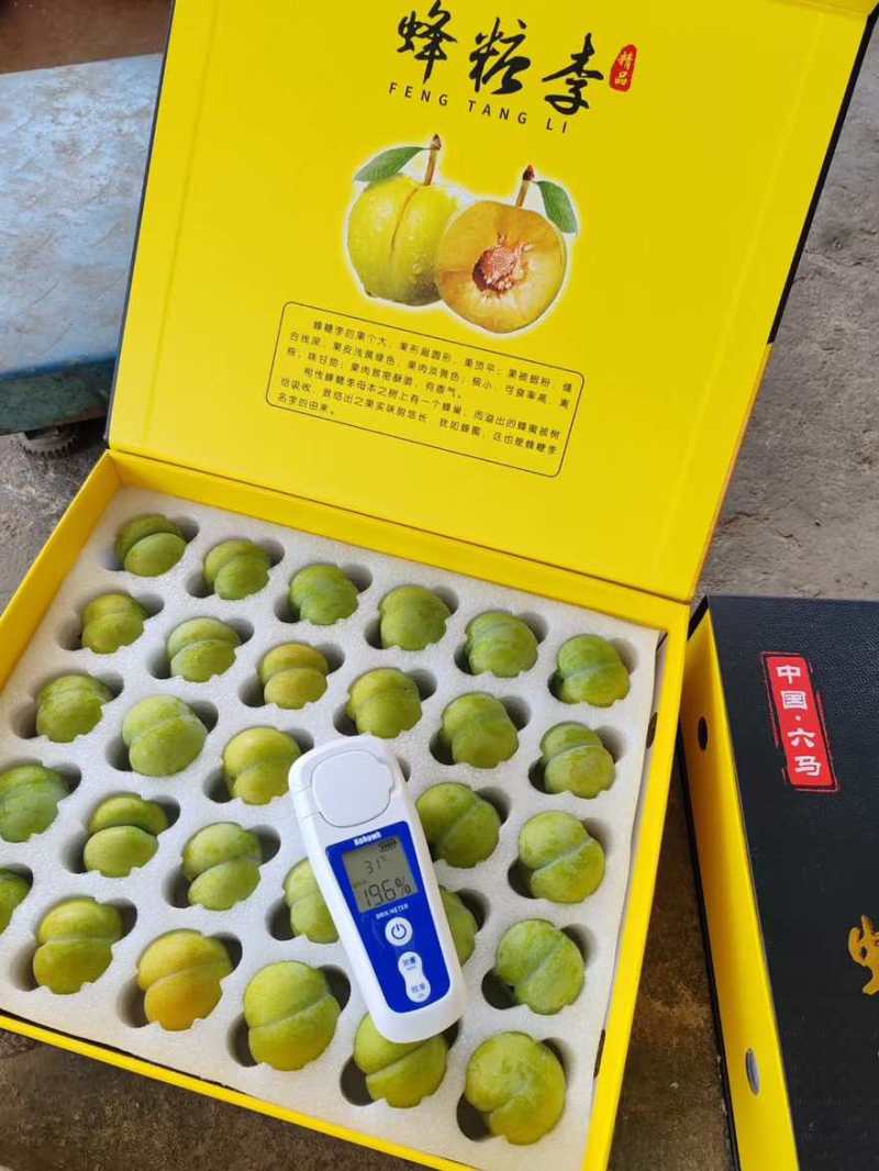 贵州六马蜂糖李