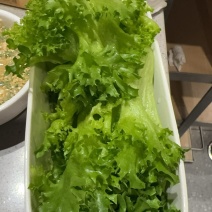 生菜