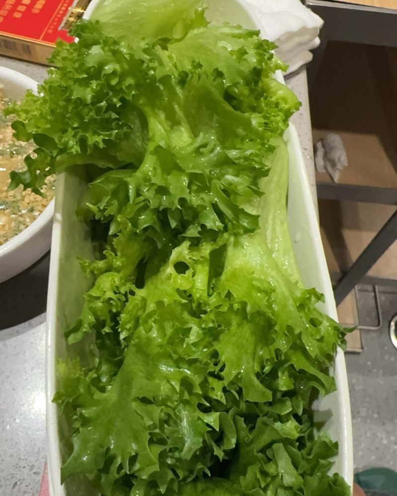 生菜