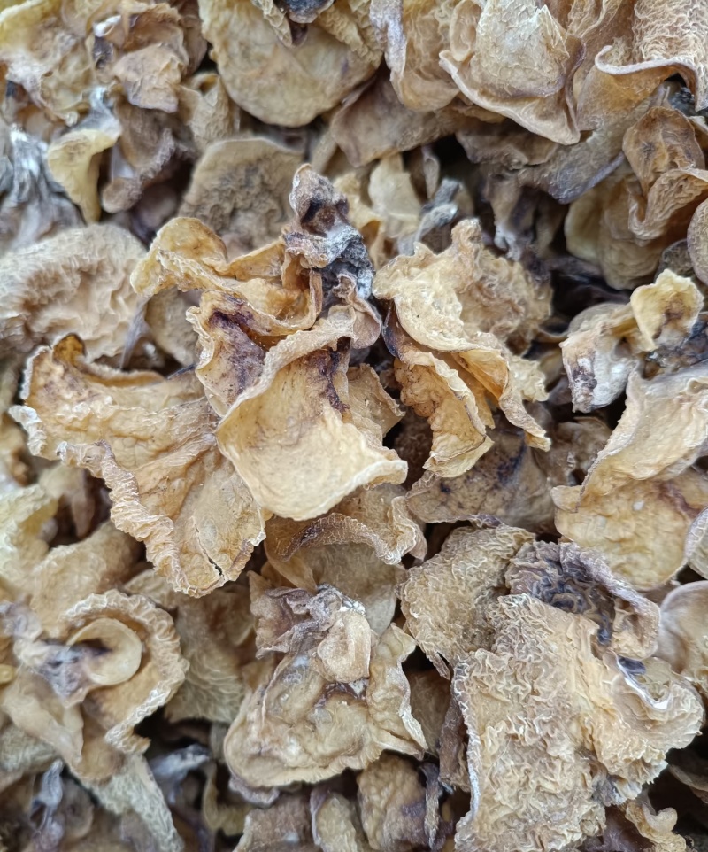 产地直发。一手货源，一件代发，货量丰富，质优价廉，品质保证