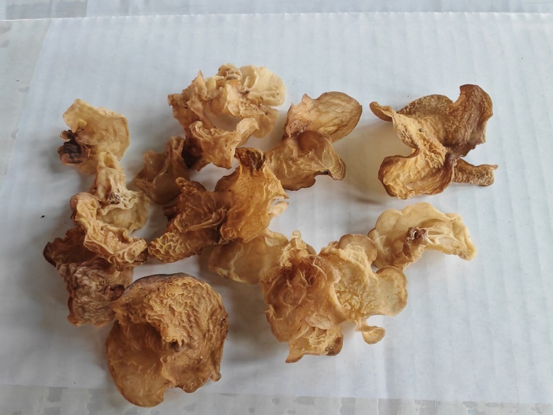产地直发。一手货源，一件代发，货量丰富，质优价廉，品质保证