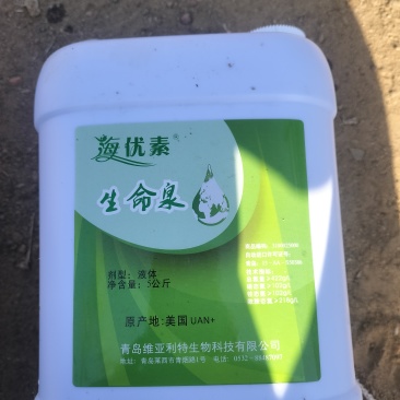 生命泉