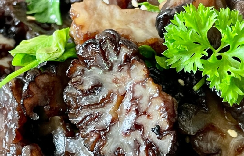 核桃菌，猴脑菌