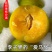 贵州蜂糖李