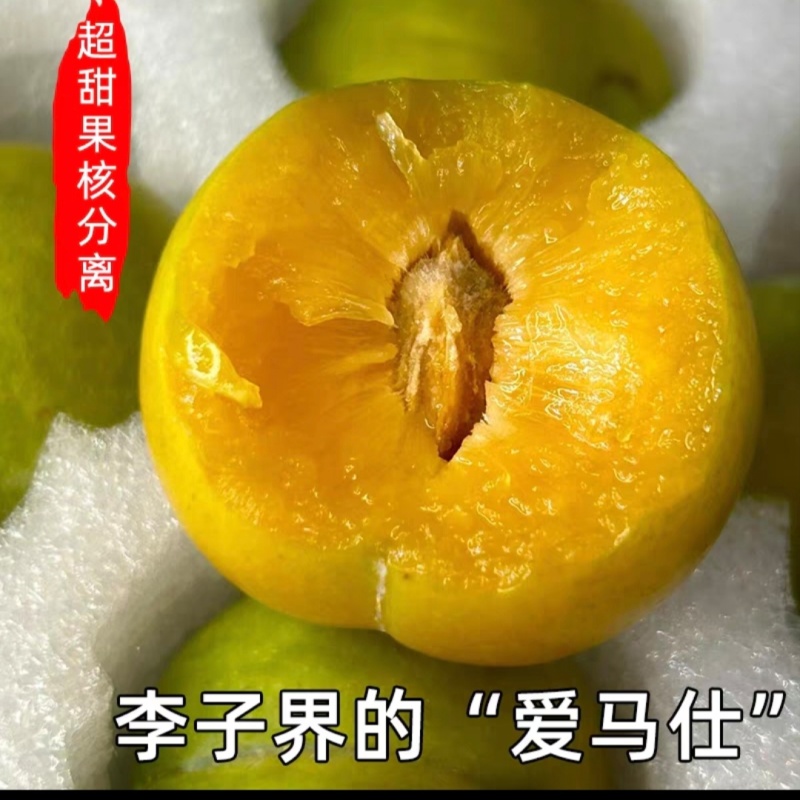 贵州蜂糖李