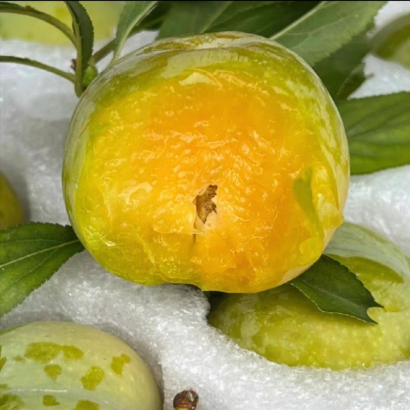 贵州蜂糖李