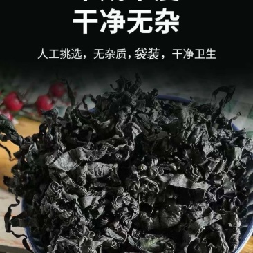 《精选》裙带菜海白菜螺旋藻足干一斤泡发15斤