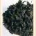 《精选》裙带菜海白菜螺旋藻足干一斤泡发15斤
