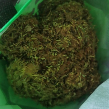 中药材