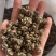 小中大都有