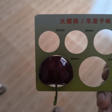 天水大樱桃车厘子