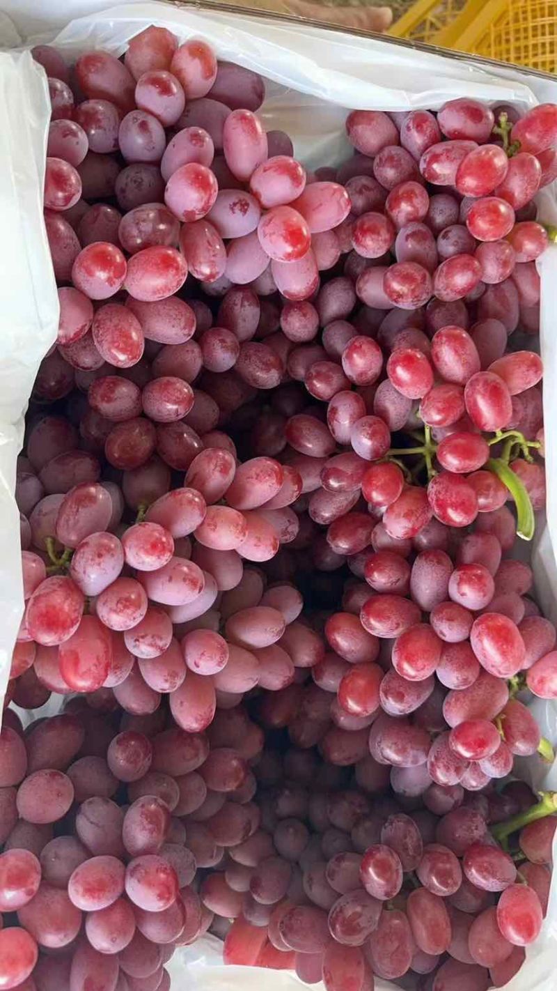 葡萄
