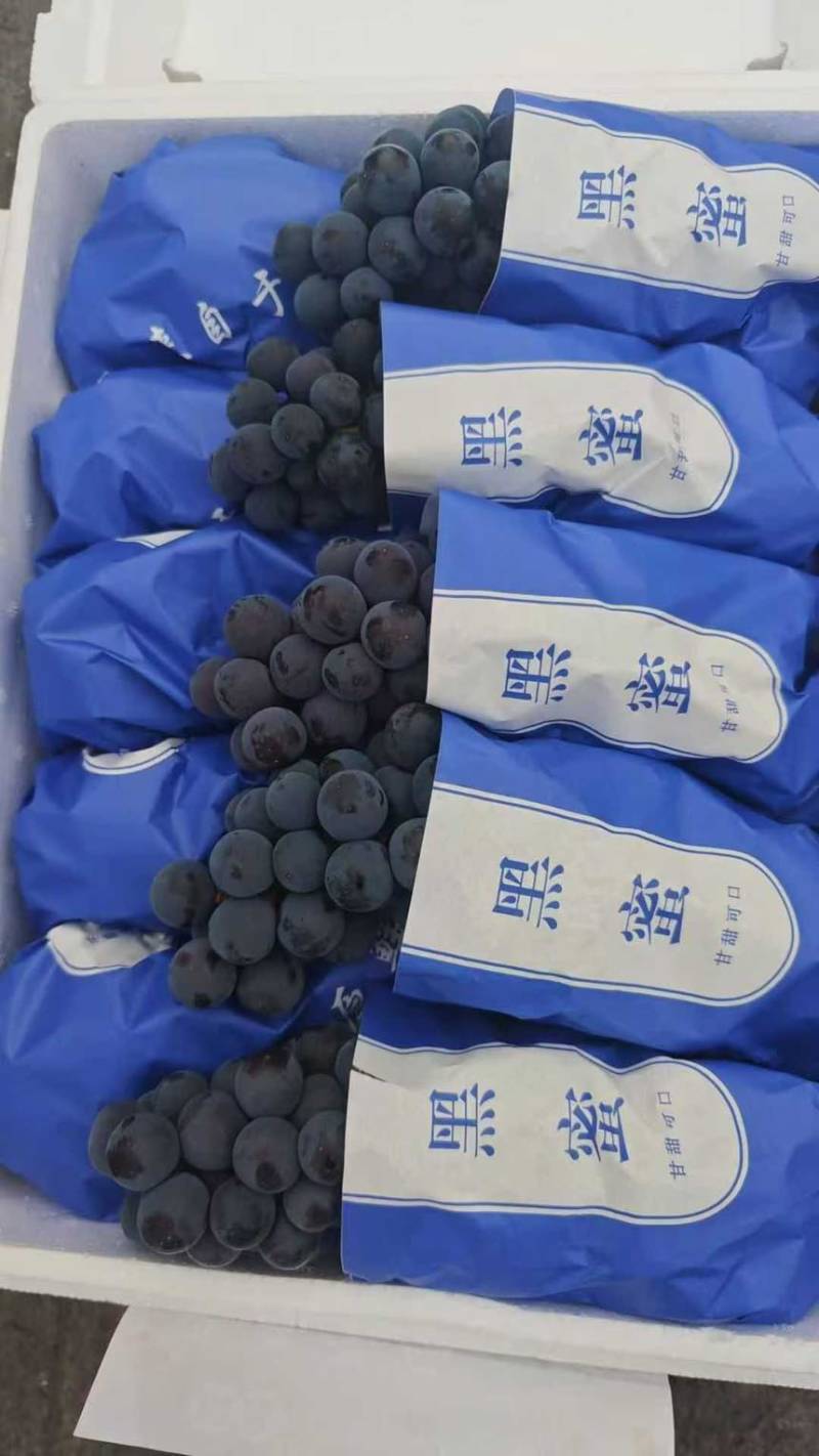 葡萄