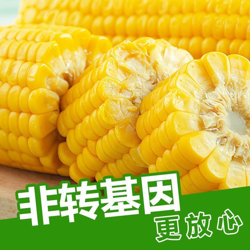 水果玉米真空包装
