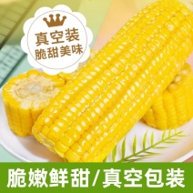 水果玉米真空包装