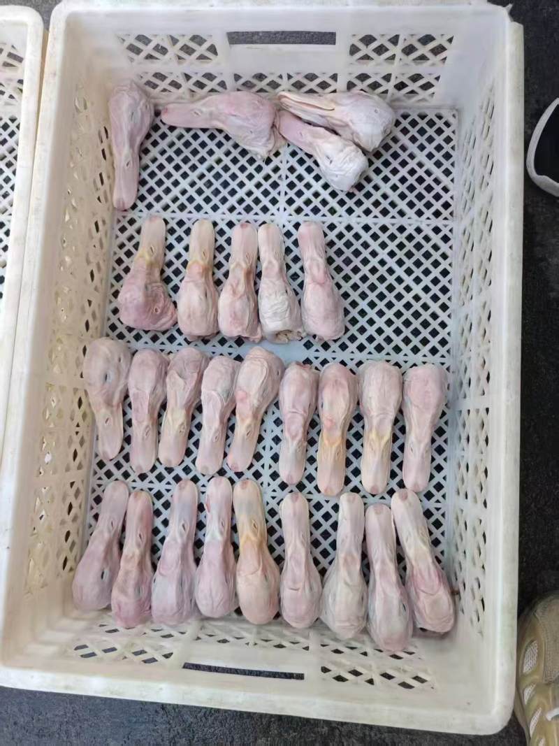 二级9头