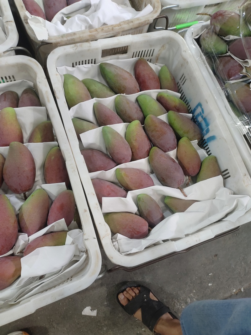 高品质芒果芒果