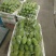 高品质芒果芒果