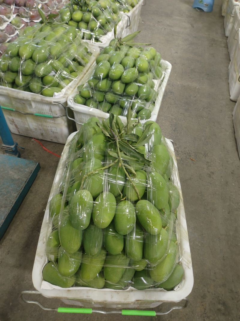 高品质芒果芒果