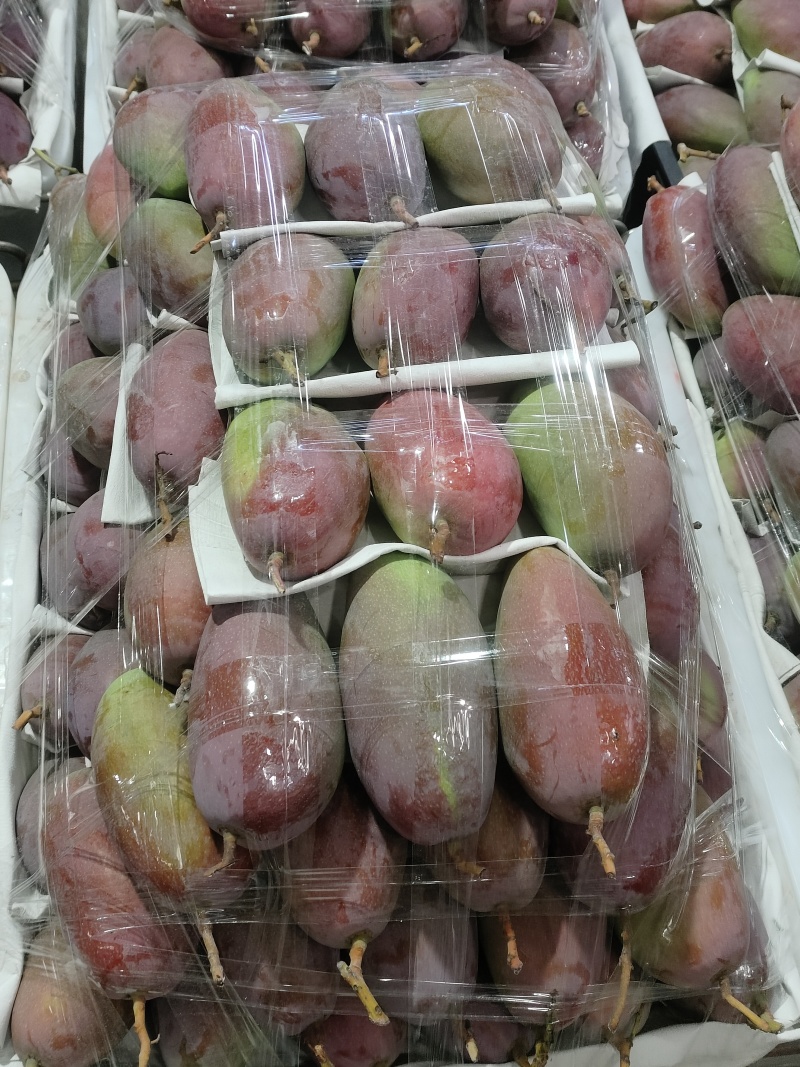 高品质芒果芒果