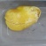 鸡宝