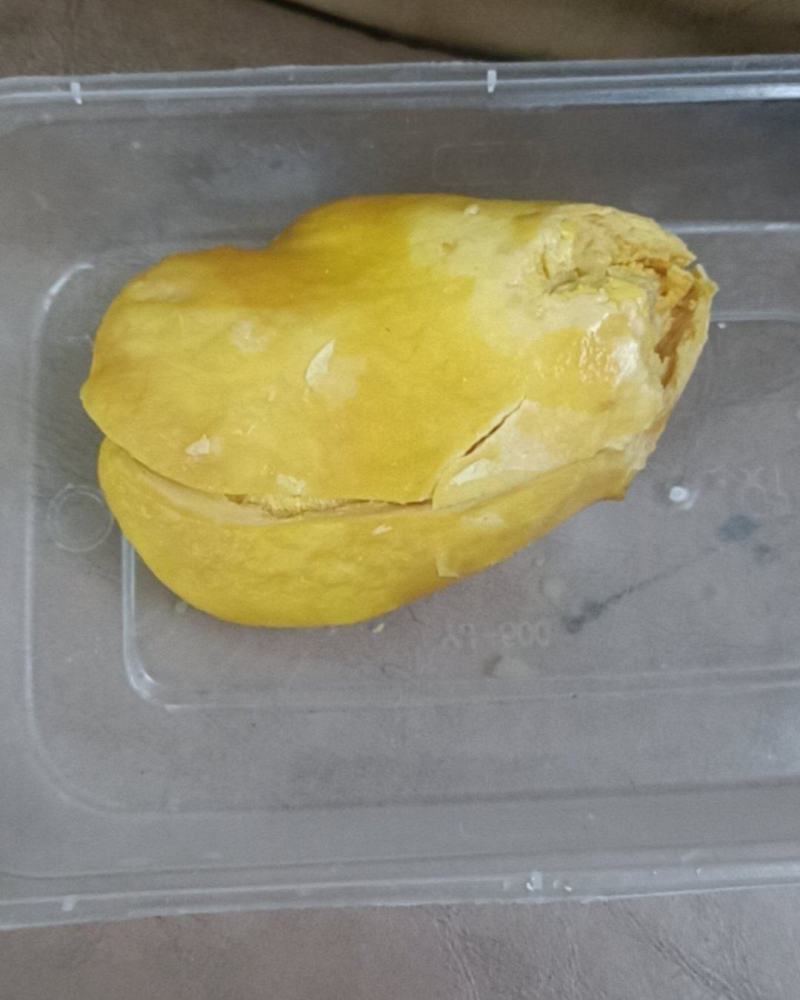 鸡宝